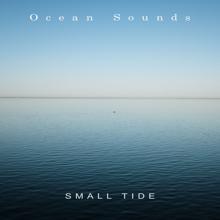 Ocean Sounds: Small Tide