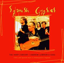 Andrew Lawrence-King: Spanish Gypsies