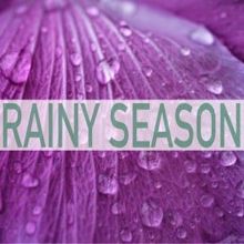 Rain Sounds: Rainy Season