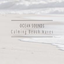 Ocean Sounds: Calming Beach Waves