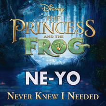 Ne-Yo: Never Knew I Needed