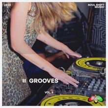 Various Artists: Grooves, Vol. 8