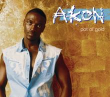 Akon: Pot of Gold