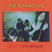 The Flaming Lips: Clouds Taste Metallic