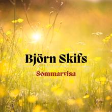 Björn Skifs: Sommarvisa