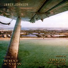 Jamey Johnson: What A View / Trudy