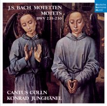 Cantus Cölln: Bach Motets