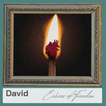 David: Echoes of Freedom