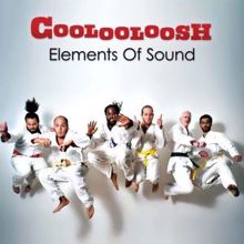 Coolooloosh: Music Business (Albumversion)
