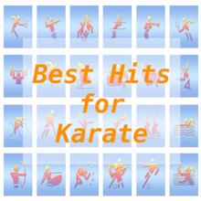 Tune Robbers: Best Hits for Karate