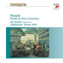 Tafelmusik: Mozart: Rondo & Horn Concertos