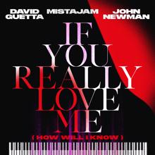 David Guetta, MistaJam, John Newman: If You Really Love Me (How Will I Know) (Extended)
