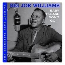 Big Joe Williams: Baby Please Don't Go