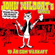 Various Artists: John Wildcats vänner - 10 år som Vildkatt