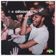 Various Artists: Grooves, Vol. 13