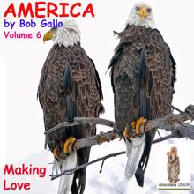 Bob Gallo: America, Vol. 6. Making Love