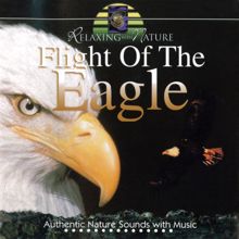 John St. John: Flight of the Eagle