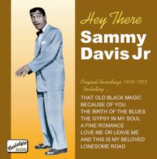 Sammy Davis Jr.: Davis Jr, Sammy: Hey There (1949-1955)