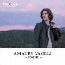 Amaury Vassili: Sognu