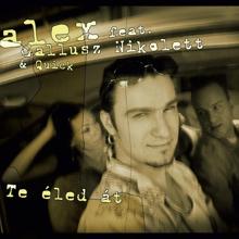 Alex Feat. Nikolett Gallusz: Te éled át (Mad variation)