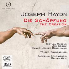 Bruno Weil: Haydn: Die Schöpfung (The Creation)