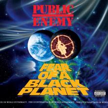 Public Enemy: Fear Of A Black Planet