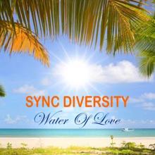 Sync Diversity: Water of Love (Darren Mackay Drop Remix)