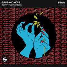 Bassjackers: Want You (So Bad) (Extended Mix)