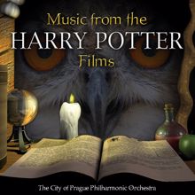 The City of Prague Philharmonic Orchestra: Black Lake (From "Harry Potter and the Goblet of Fire") (Black Lake)