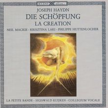 Sigiswald Kuijken: Haydn, F.J.: Schopfung (Die) (The Creation) [Oratorio]