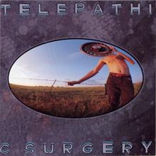 The Flaming Lips: Telepathic Surgery