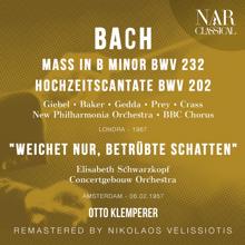 Otto Klemperer: Bach: Mass in B Minor BWV 232; Hochzeitscantate BWV 202, "Weichet nur, betrübte Schatten"