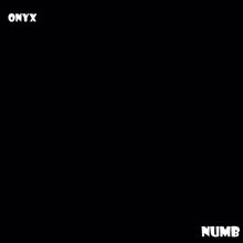 Onyx: Numb