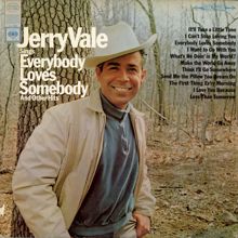 Jerry Vale: Sings Everybody Loves Somebody and Other Hits