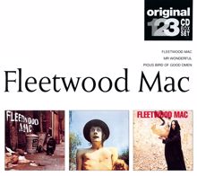Fleetwood Mac: Trying So Hard to Forget