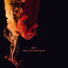 ZAK: Hallucinations