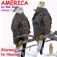 Bob Gallo: America, Vol 7. Starway to Heaven