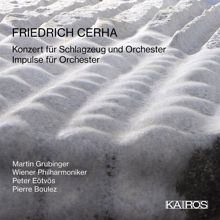 Martin Grubinger, Wiener Philharmoniker, Peter Eötvös: Konzert für Schlagzeug und Orchester (2007/08)