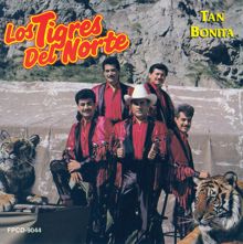 Los Tigres Del Norte: El Amor Es Ciego (Album Version)