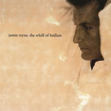 James Reyne: The Whiff of Bedlam