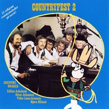 Various Artists: Countryfest 2