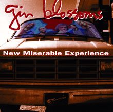 Gin Blossoms: New Miserable Experience