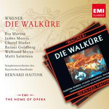 Bernard Haitink, Anita Soldh, Carolyn Watkinson, Margaretha Hintermeier, Margarita Lilowa, Ruth Falcon, Sylvia Herman, Ursula Kunz, Ute Walther, Éva Marton: Wagner: Die Walküre, Act 3, Scene 1: "Schützt mich und helft in höchster Not!" (Brünnhilde, Die acht Walküren)