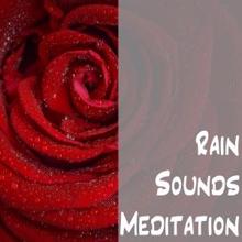 Rain Sounds: Rain Sounds Meditation