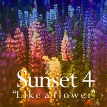 Sunset 4: Like a Flower