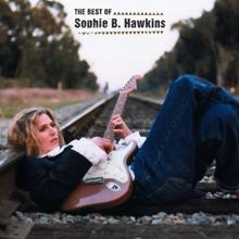 Sophie B. Hawkins: Before I Walk On Fire (Album Version)