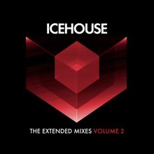 Icehouse: She Comes (The Revolution Mixes)