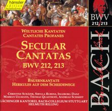 Christine Schäfer: Lasst uns sorgen, lasst uns wachen, BWV 213: Recitative: Und wo? Wo ist die rechte Bahn (Alto)