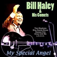 Bill Haley & His Comets: My Special Angel