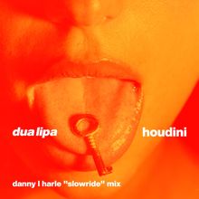 Dua Lipa: Houdini (Danny L Harle Slowride Mix)